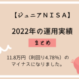 【ジュニアNISA】2022年の運用実績・11.8万円（利回り4.78％）のマイナス。